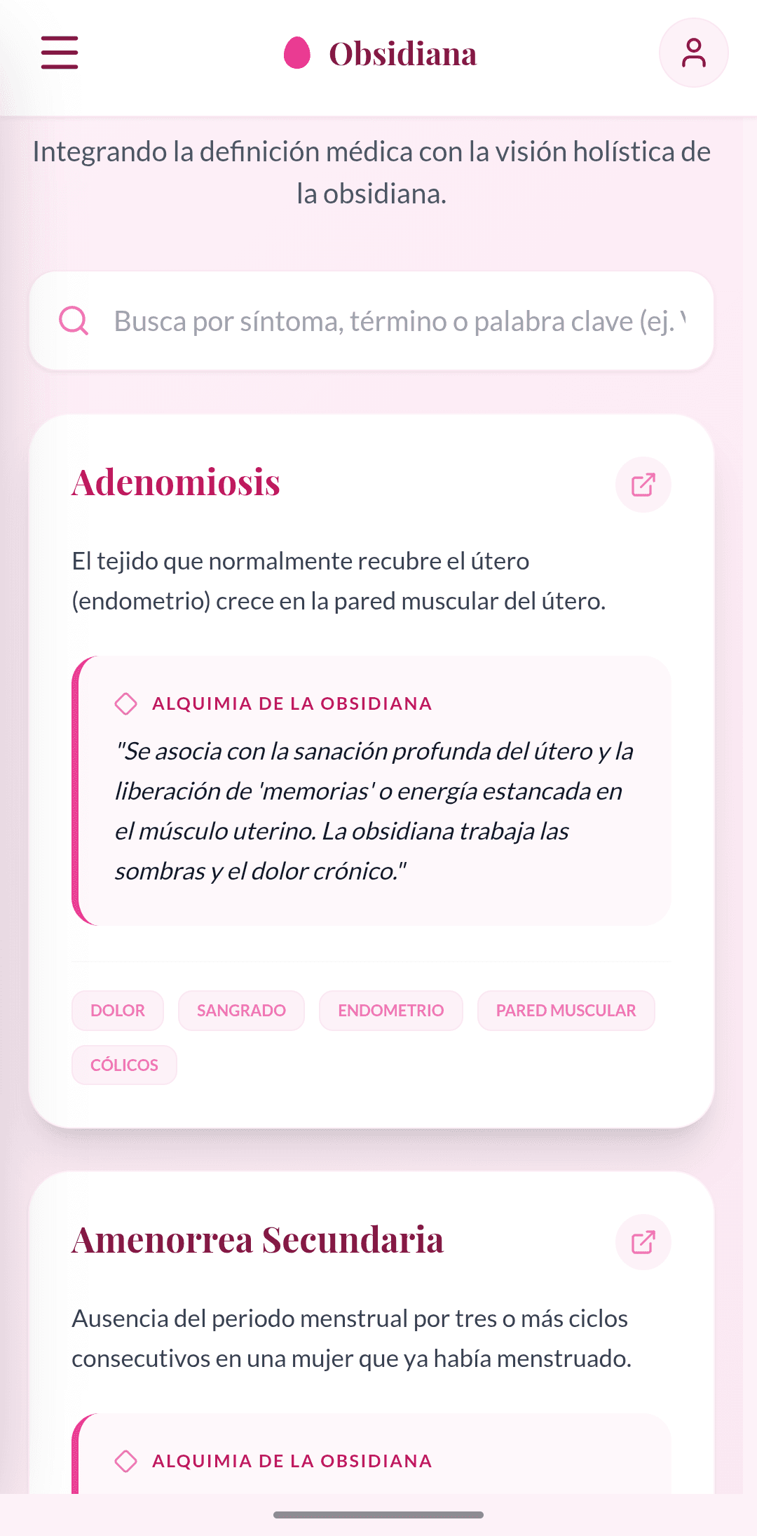 Captura de pantalla de la app - Glosario